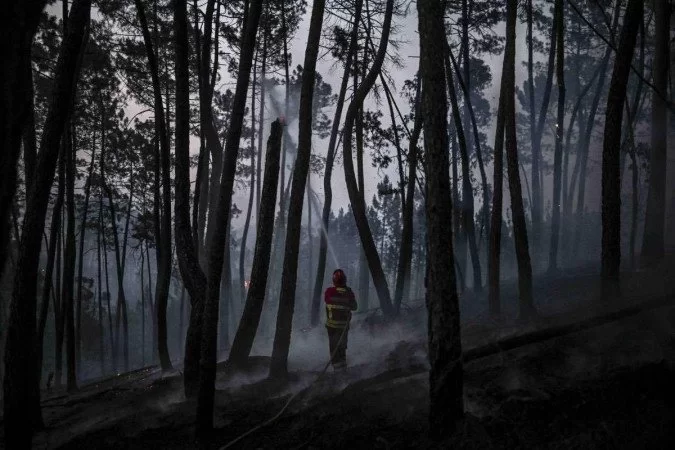 Portugal arde em chamas: centenas deixam casas para trás