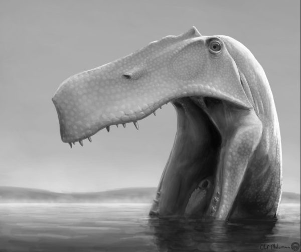 Criticado por usar fóssil ‘roubado’ do Brasil, estudo na Alemanha diz que dinossauro nordestino era caçador ágil